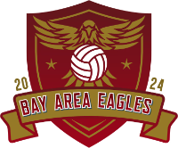 Bay Area Eagles Volleyball Club logo