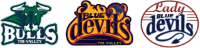 Tri-Valley Minor Hockey Association (Tri-Valley Blue Devils; Lady Blue Devils girls program) logo